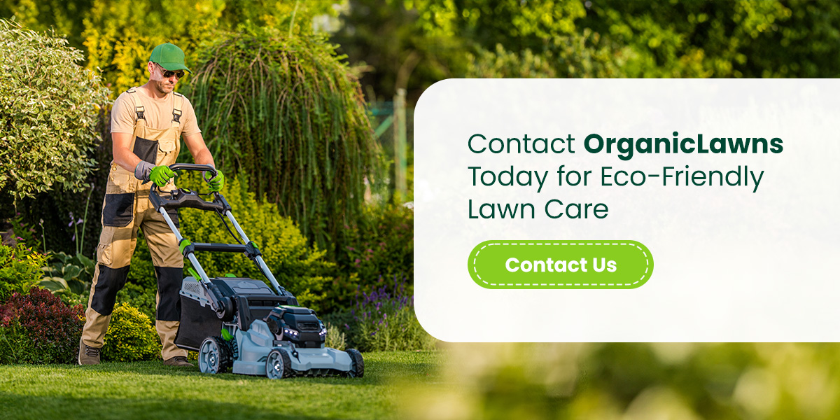 Contact OrganicLawns Today for Eco-Friendly Lawn Care
