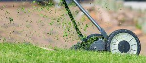 Mowing grass with push mower.