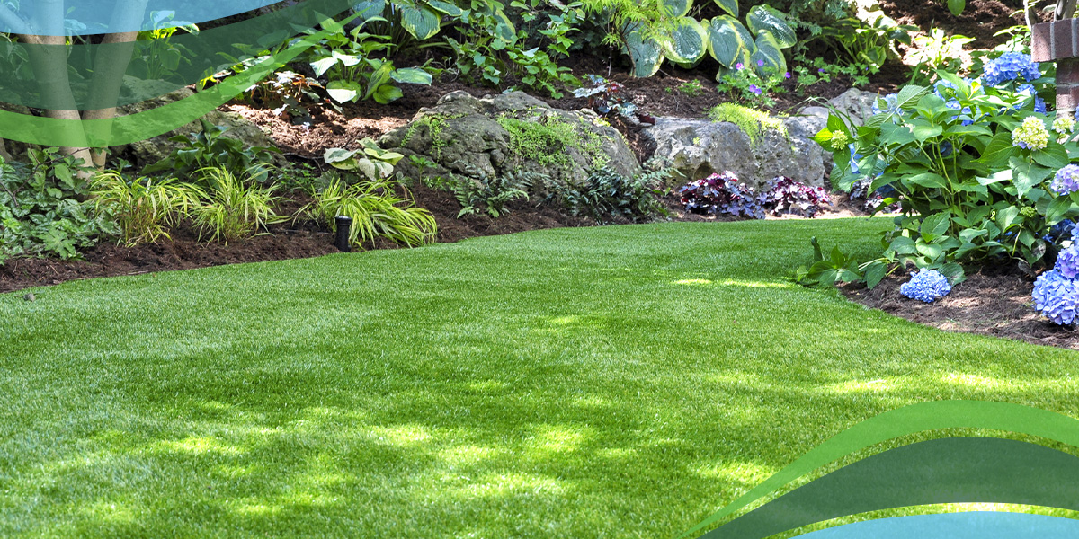 Sustainable Lawn Care: Organic Grub Control in Maryland