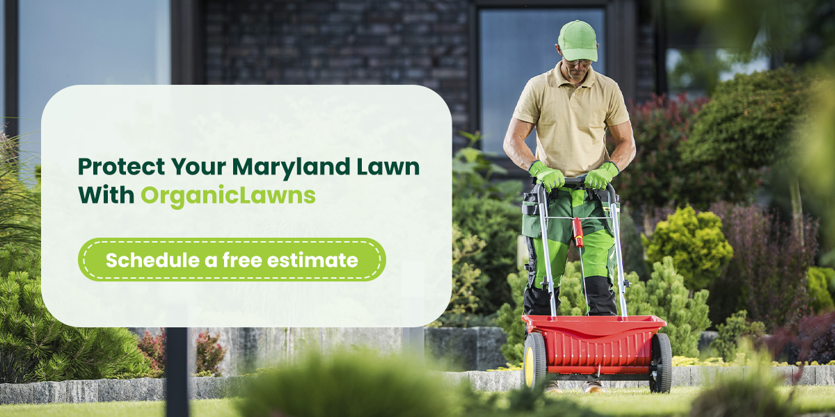 Protect Your Maryland Lawn With OrganicLawns