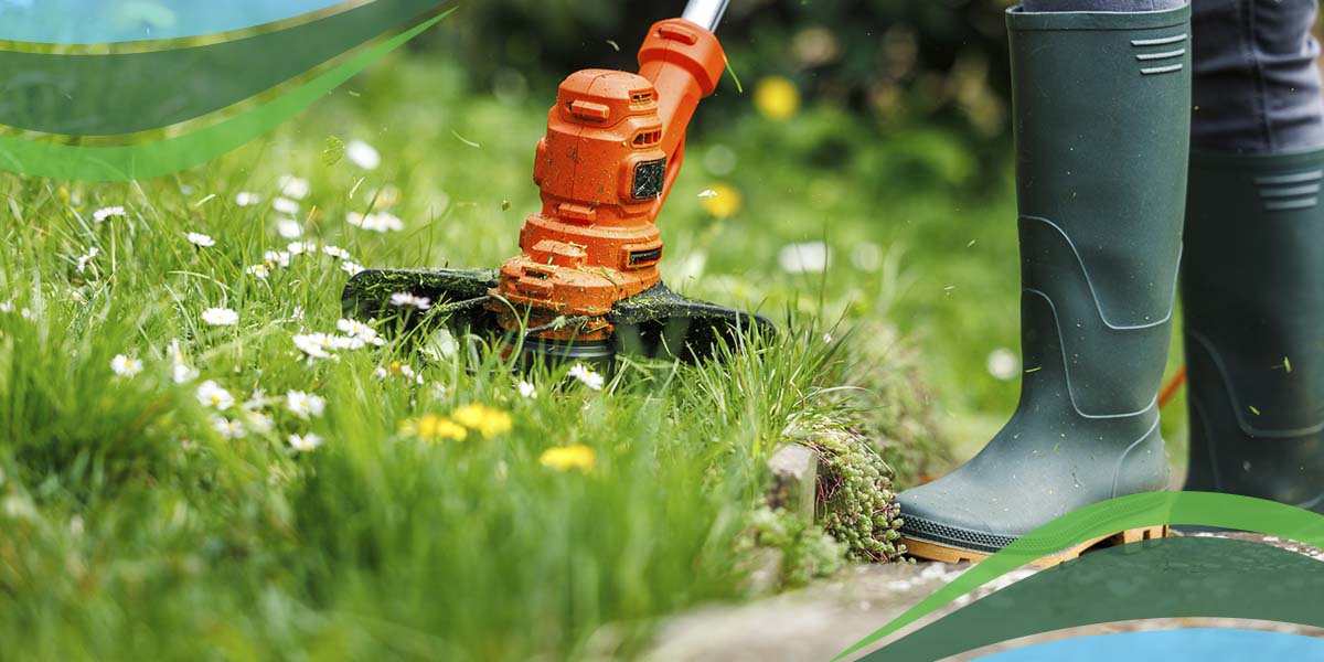 6 Summertime Weed Control Tips and Tricks for Your Maryland Lawn
